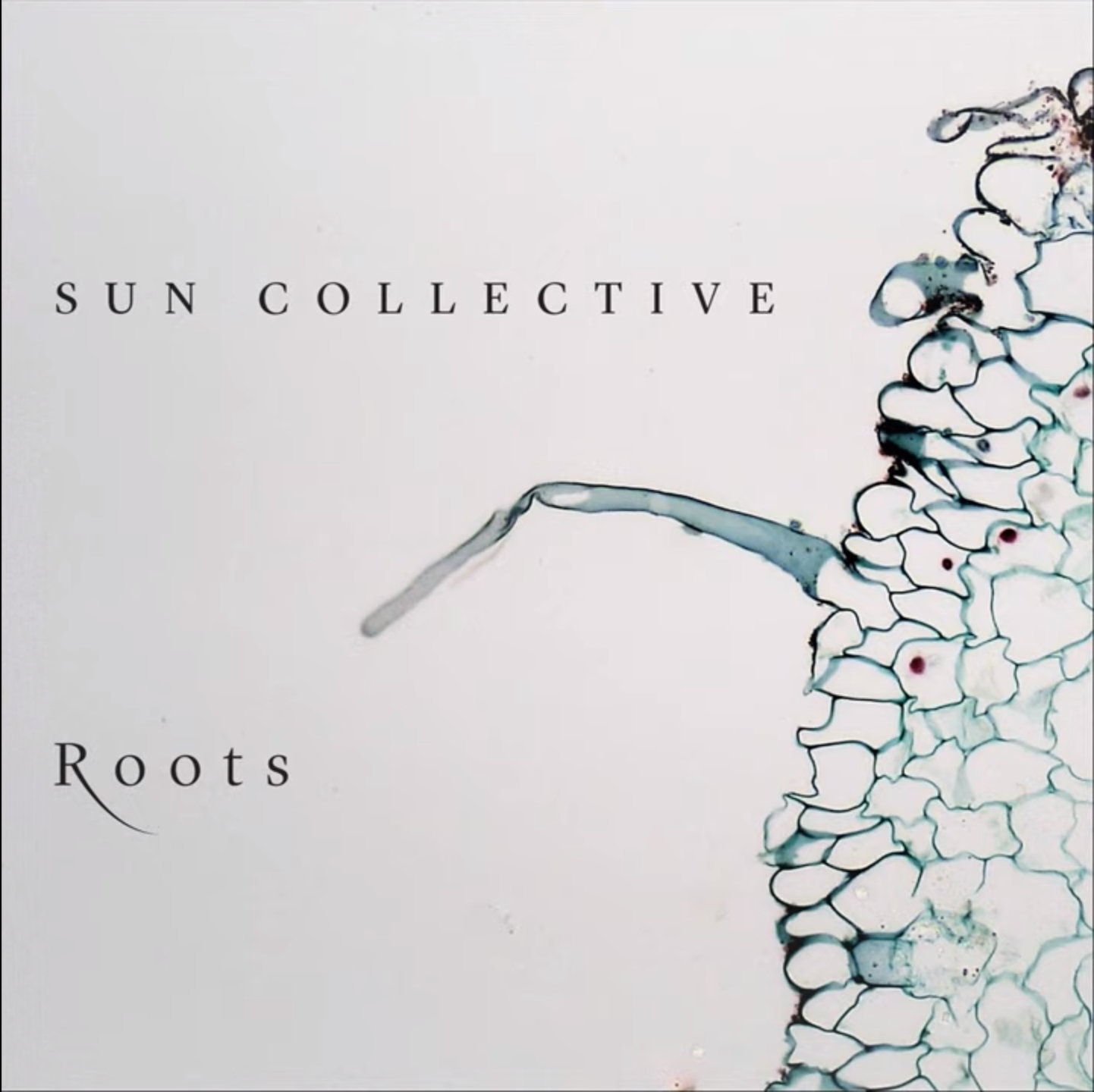 Nick Roth Music